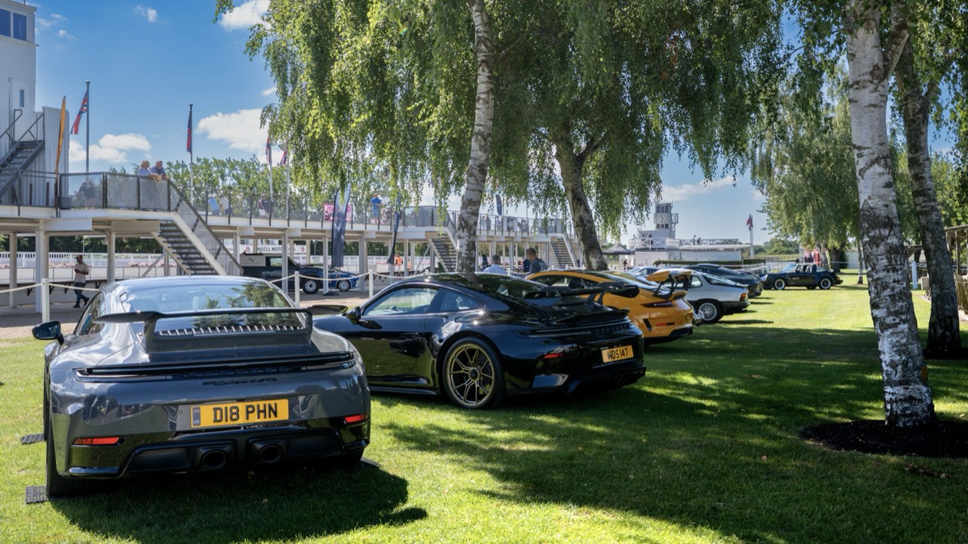 Row of Porsche 911s lined up on the grass at Goodwood Motor Circuit
